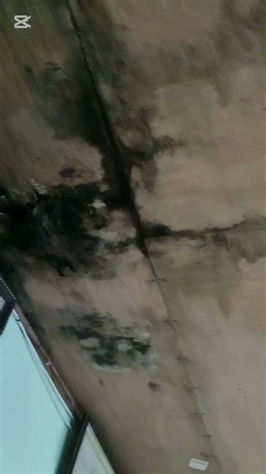 PVC Ceiling installation ep.1 #craft #construction