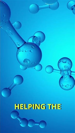 This Cute “Sea Bunny” Is Actually Toxic