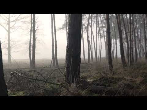 Selected Verses - Surah 40 (Ghafir) - Verses 55-59