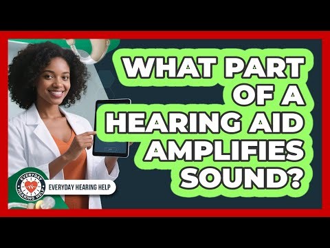 What Part Of A Hearing Aid Amplifies Sound?