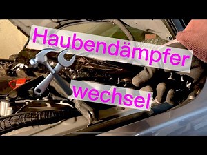 Hood dampers replaced | CMVG