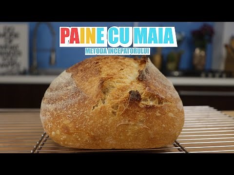 Paine de casa cu maia pentru incepatori