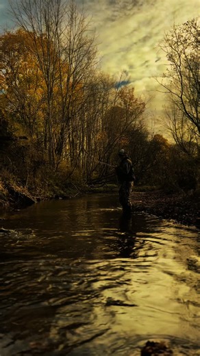 And it goes fast🤟 so live it #lakeontario #salmonriverny #fishing #pulaskiny #flyfishing #fishing #grindstonecreek