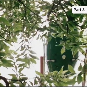 The Best Action Movie 2025 | Canal Prenda