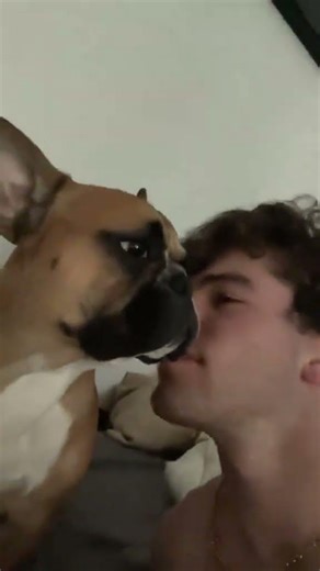 Dog time #starbucks #bedroom #dogtime #pets