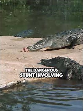 What Really Happened Behind Live and Let Die 1973