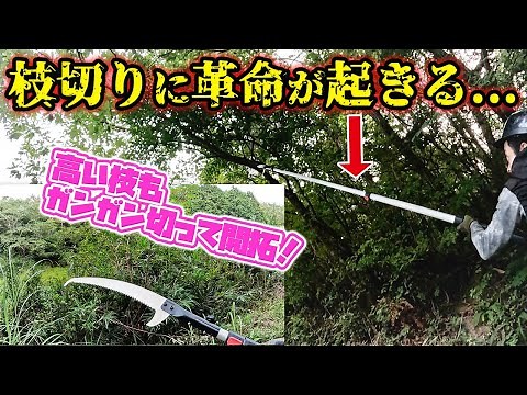 【SILKY はやうちレビュー】高枝ノコギリ「はやうち3段」を使ってキャンプ場の枝を剪定します！