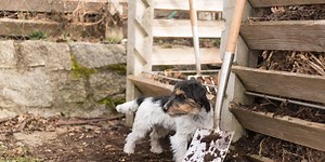 A warning has been issued to always keep dogs away from compost bins