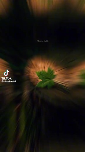 Arwin (@arwin8480)’s videos with original sound - Arwin