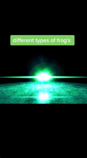 Diverse Types of Frogs: Nature's Unique Creatures
