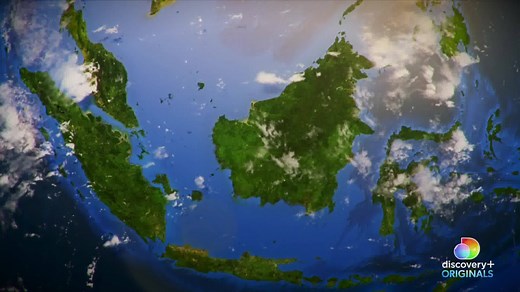 79K views · 441 reactions | Explore the wonders of the natural world in Judi Dench’s Wild Borneo Adventure. The adventure of a lifetime begins January 4 on discovery+. ↪️ https://discoverypl.us/2JAb1sj #discoveryplus | Discovery | Facebook