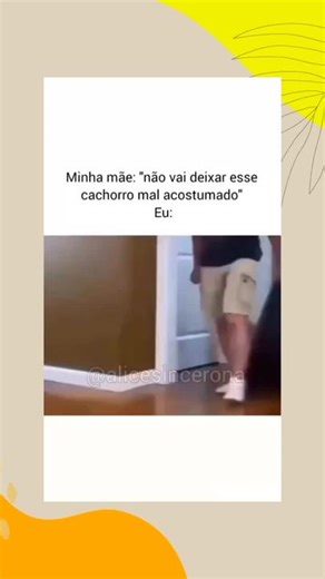 Não deixa o cachorro mau acostumado kk🤣 #cachorro #cachorrocaramelo #animaisengraçados #sorria #cachorrosdotiktok