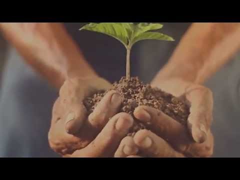 GLOBALG.A.P. - The Worldwide Standard for Good Agricultural Practices