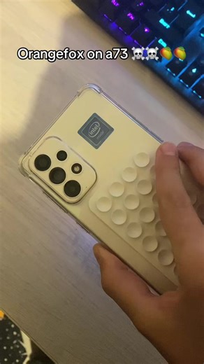 Explore the Unique Orangefox A73 Custom