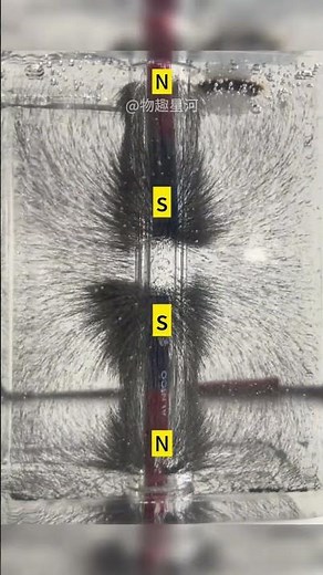 Unleash the Power of Magnets: Junior High Physics Experiment
