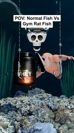 POV: Normal Fish Vs Gym Rat Fish #reels #gbaps | Agbaps