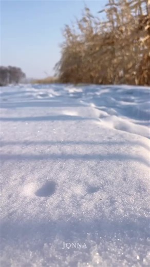 Discover the Complete Story on GoodNovel