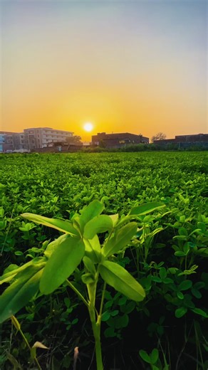 Exploring Sambrial: Your Guide to Local Highlights