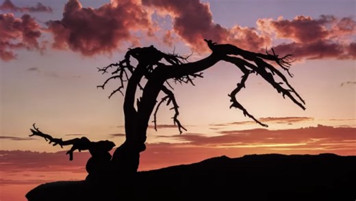 The Life of a Creative Photographer