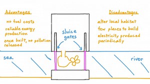 Understanding How Tidal Barrages Work