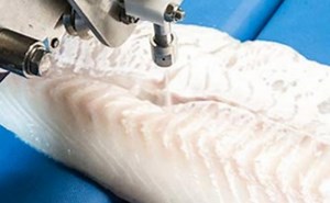 New Processiong Technology from Marel | Seafood Processing