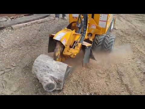 2025 BANDIT 2550XP For Sale