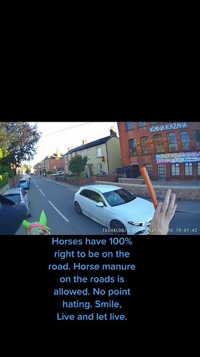 #horsesonroads #horseinroad #riding #roads #horsemanure #horsepoop #poop
