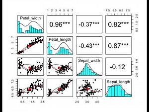 "Batch 66: Correlation Analysis in R – Step-by-Step Guide"