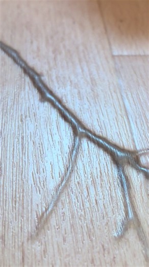 クッションフロアのシロアリ被害を確認する方法