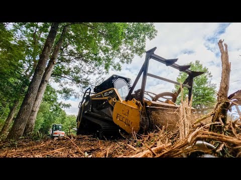 Cleaning Trees off a Fence Line