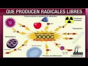 Dr. Cormillot | Antioxidantes vs. radicales libres