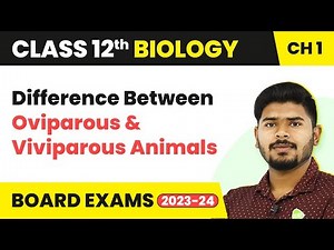 Class 12 Biology Ch1 |D/B Oviparous & Viviparous Animals - Reproduction in Organisms (2022-23)