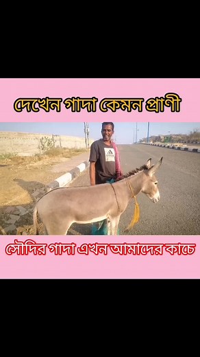 ‏#saudiarabia🇸🇦 #vairal_video #foryou #vairal #গাদা