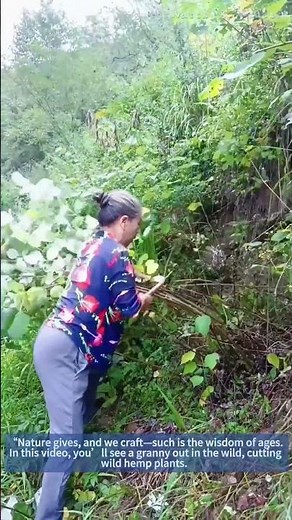 Harvesting Wild Hemp for Thread: Granny's Traditional Skill