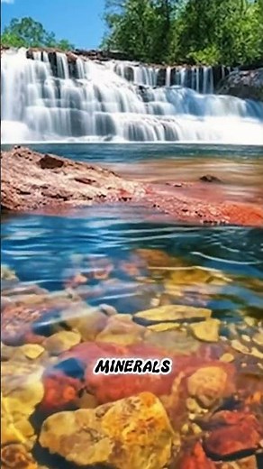 Caño Cristales 🌈 The River That Looks Like a Painting