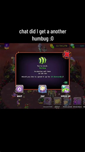 Did I Really Get Another Humbug? MSM Collectible Surprise