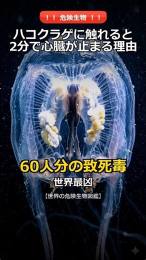 💀Stops your heart in 2 minutes... The world's deadliest box jellyfish #shorts