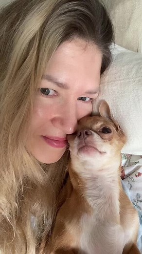 Оксана & Чихуахуа Бонита on TikTok