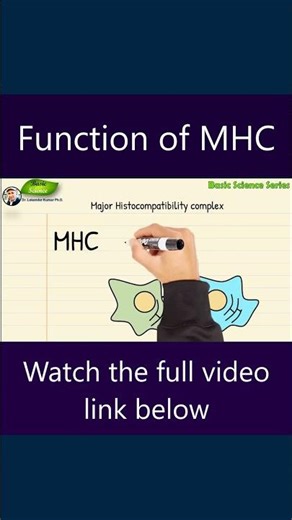 This is How MHC Protects You Every Second!