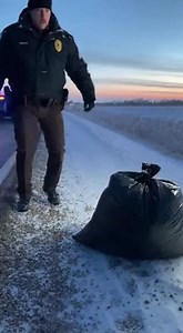 "I Saw A Trash Bag Wriggling On The Side Of A Blistering Nevada Highway And What I Found Inside Broke Me As A Man And A Cop. I Thought I’d Seen It All In Twenty Years On The Force, But When I Sliced That Black Plastic Open And Saw Two Pairs Of Terrified Eyes Staring Back At Me, I Fell To My Knees. You Need To Know The Truth About What Happened On Route 95. PART 1 Chapter 1: The Wriggling Darkness The Nevada heat was distinct that day. It wasn't just hot; it was angry. The kind of heat that disto