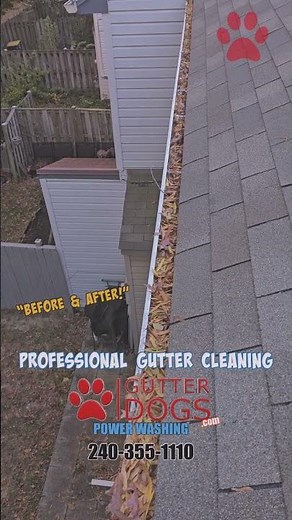 Gutter Cleaning Service Near Me – District Heights, MD