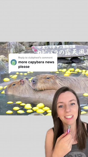 Capybaras' Love for Hot Baths: Study Reveals Surprising Benefits