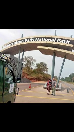 Still about day 1 of the 4-day thrilling tour to Murchison Falls National Park, our clients also went to the top of the falls. Standing at the top of Murchison Falls, you are immersed in a symphony of sights and sounds that move your soul. The powerful Nile River, East Africa's lifeline, thunders through a narrow fissure in the craggy environment before crashing over a precipice with astonishing force and intensity. As you get closer to the edge, the noise of the cascading water becomes more aud
