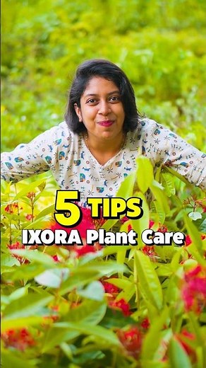 5 TIPS For IXORA Plant Care 🌱 #ixora #plantcare