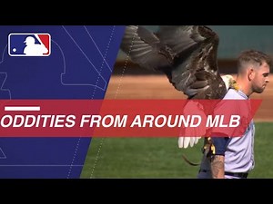 Check Out All the Wild Bloopers From Around Baseball