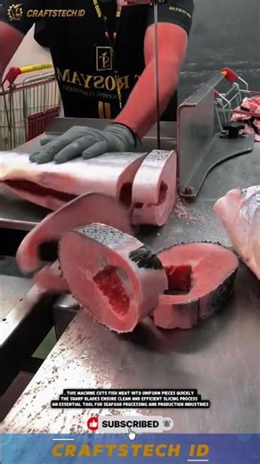 Fish Meat Cutting Machine for Fast and Precise Seafood Processing #machine