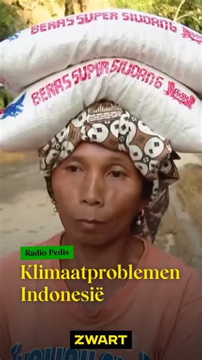 Omroep ZWART on Instagram: "Vandaag spreken we met kunstenaar Miranda Kistler (1999), die ecologie en familiegeschiedenis met elkaar verbindt. In Batu dan Banjir verweeft ze twee werelden: door water aangetaste familiealbums op Java en stenen die ze langs de Rijn verzamelde. Beide dragen sporen van tijd, erosie en beweging. We praten over klimaatverandering, verlies, en hoe herinneringen nooit verdwijnen maar van vorm veranderen. Luister Radio Pedis nu op NPO Luister of je favoriete podcastapp! 