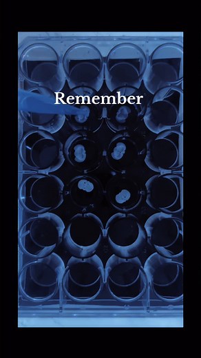 The Future of Biotechnology and Science Experiments