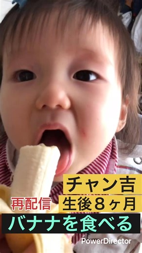【再：バナナを食べる赤ちゃん】チャン吉（生後８ヵ月）がバナナを食べます。#赤ちゃん #バナナ #可愛い #baby #cute #banana