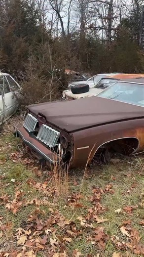 JuryRiggedAuto on Instagram: "Junkyard #restoration #mechanic #abonded #restore #junk #old #willitrun #dump #dump #cars"